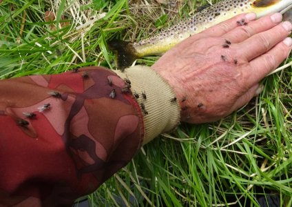 DSC02217.JPG DSC02217.JPG