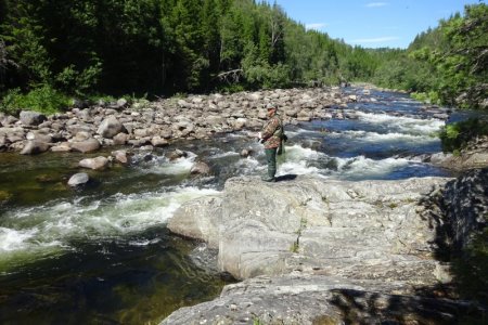 DSC02343.JPG DSC02343.JPG