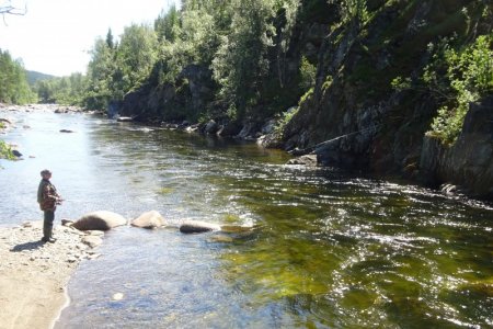 DSC02366.JPG DSC02366.JPG