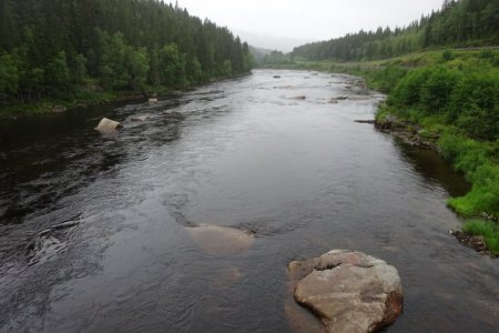 DSC02437.JPG DSC02437.JPG