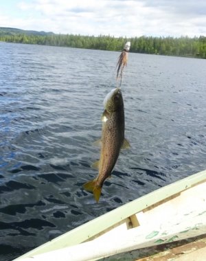 DSC02182.JPG DSC02182.JPG