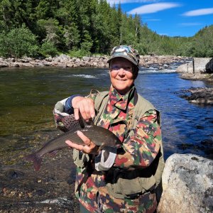 20240627_111943.jpg 20240627_111943.jpg