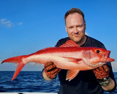 20250225_070907 hape hussain.jpeg