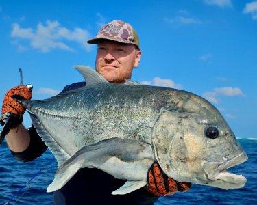 20250225_083029 hape hussain.jpeg 20250225_083029 hape hussain.jpeg