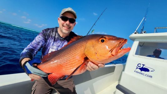 20250225_085644 hape hussain.jpeg 20250225_085644 hape hussain.jpeg