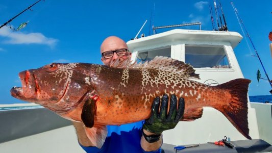 20250225_090826 hape hussain.jpeg