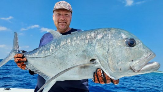 20250225_094235 hape hussain.jpeg 20250225_094235 hape hussain.jpeg