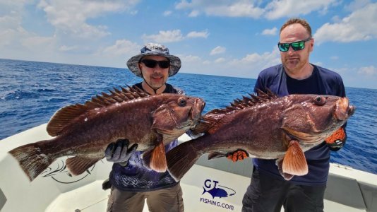 20250225_111731 hape hussain.jpeg