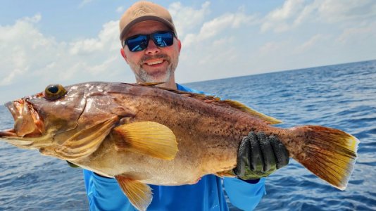 20250225_112919 hape hussain.jpeg 20250225_112919 hape hussain.jpeg