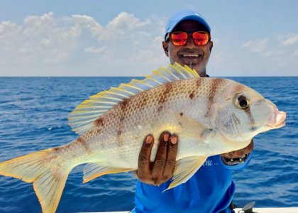 20250225_114408 hape hussain.jpeg