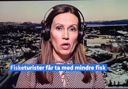 IMG-20250226-WA0002.jpg IMG-20250226-WA0002.jpg