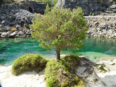 innfjord 2018 568.JPG