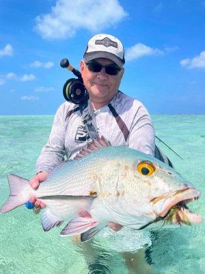 IMG-20250222-WA0017 hape hussain.jpg IMG-20250222-WA0017 hape hussain.jpg