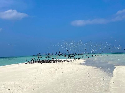 IMG-20250222-WA0022 hape hussain.jpg