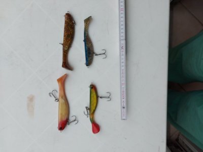 gummifish 1.jpg
