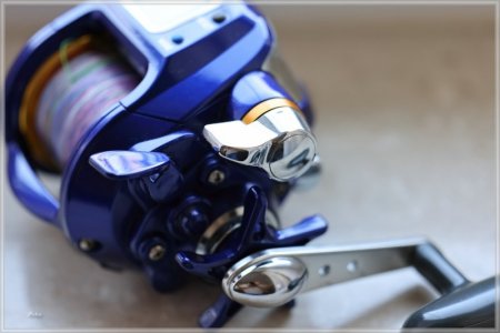 comp_C85A2344.jpg