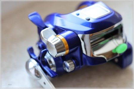 comp_C85A2347.jpg