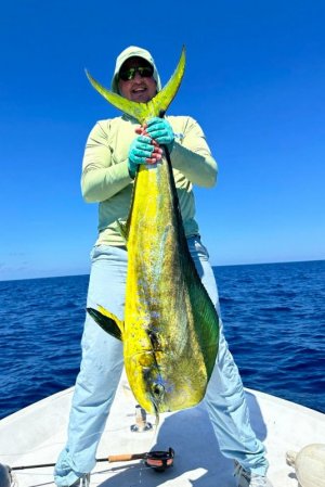 b9ca8321-f12a-4add-bc3e-342528e513c6 Nafiu.jpeg b9ca8321-f12a-4add-bc3e-342528e513c6 Nafiu.jpeg