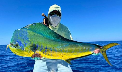 bf9cdc7c-5df4-49e6-9f7c-30025be76e47 Nafiu.jpeg bf9cdc7c-5df4-49e6-9f7c-30025be76e47 Nafiu.jpeg