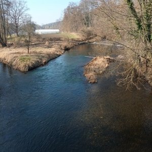 20250309_115534.jpg