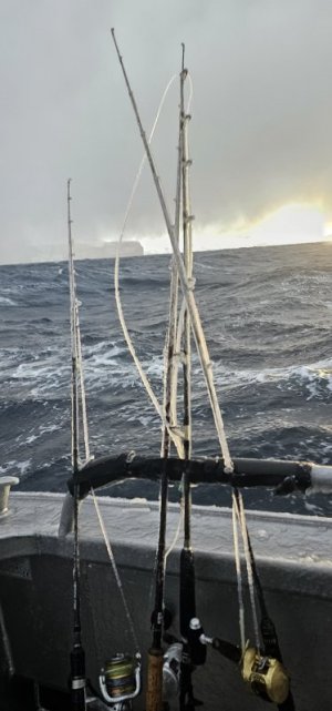 IMG-20250314-WA0015.jpg IMG-20250314-WA0015.jpg