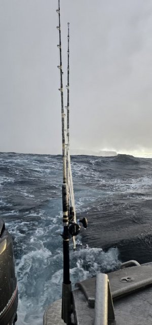 IMG-20250314-WA0013.jpg IMG-20250314-WA0013.jpg