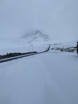 IMG_1268.jpeg