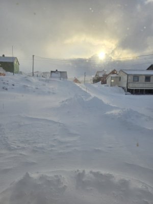 20250316_082122.jpg 20250316_082122.jpg