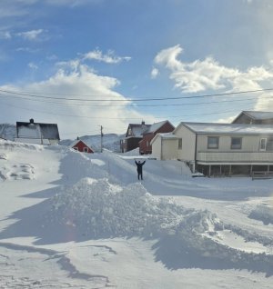 20250316_104809.jpg 20250316_104809.jpg