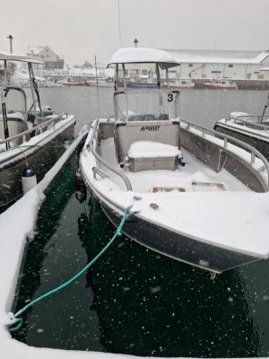 IMG-20250316-WA0003.jpg IMG-20250316-WA0003.jpg