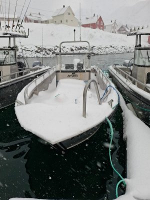 IMG-20250316-WA0004.jpg IMG-20250316-WA0004.jpg