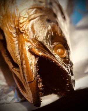 IMG_2198.jpeg IMG_2198.jpeg