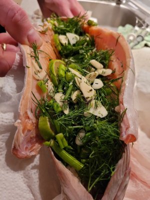 20250317_192728.jpg 20250317_192728.jpg