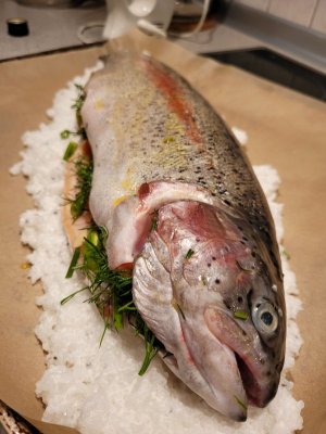 20250317_193222.jpg 20250317_193222.jpg