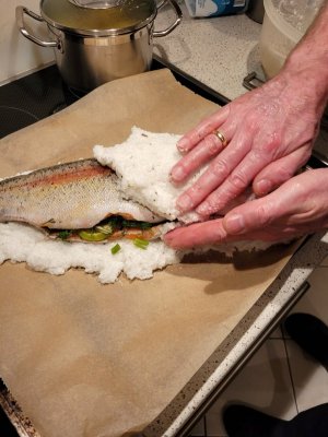 20250317_193238.jpg 20250317_193238.jpg