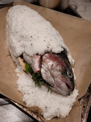 20250317_193320.jpg 20250317_193320.jpg