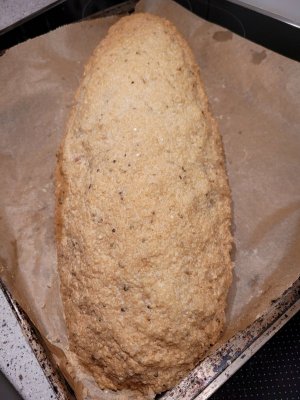 20250317_201646.jpg 20250317_201646.jpg