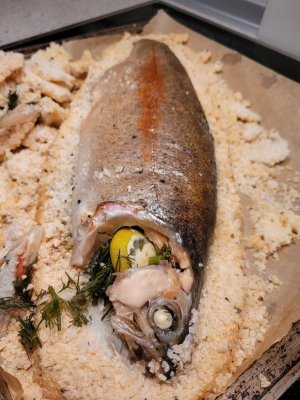 20250317_201958.jpg 20250317_201958.jpg