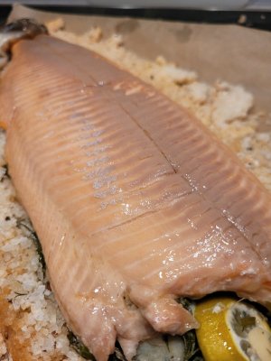 20250317_202050.jpg 20250317_202050.jpg