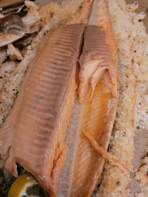 20250317_202511.jpg 20250317_202511.jpg