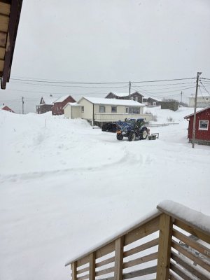 20250318_070949.jpg 20250318_070949.jpg