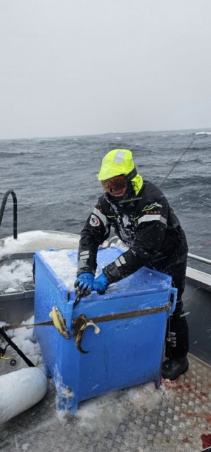 IMG-20250318-WA0002.jpg IMG-20250318-WA0002.jpg