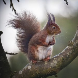 20250321-DSC02555 (1).jpg