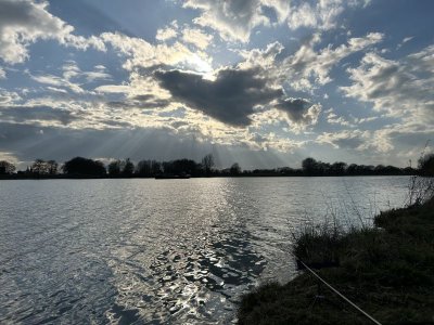 IMG_9673.jpeg IMG_9673.jpeg