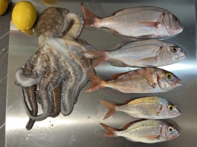 IMG_9954.jpg IMG_9954.jpg