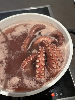 IMG_0109.jpg IMG_0109.jpg