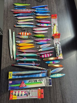20250325_121249.jpg