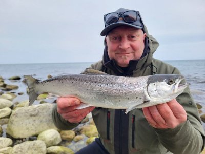 IMG-20250325-WA0026.jpg IMG-20250325-WA0026.jpg