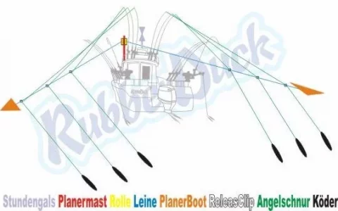 planer anwendung.webp