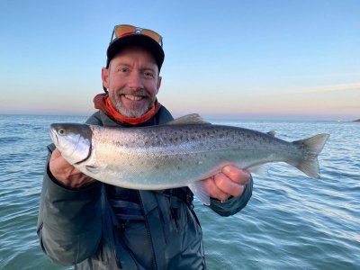 IMG-20250327-WA0000.jpg IMG-20250327-WA0000.jpg